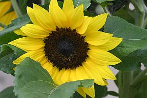 2025-06098876 Pointe Rok Neighborhood, MA